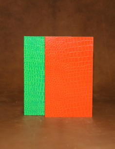 Lot carnets fantaisie grand format. Papier crocodile vert et orange