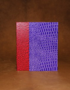 Lot carnets fantaisie grand format. Papier crocodile violet et rouge
